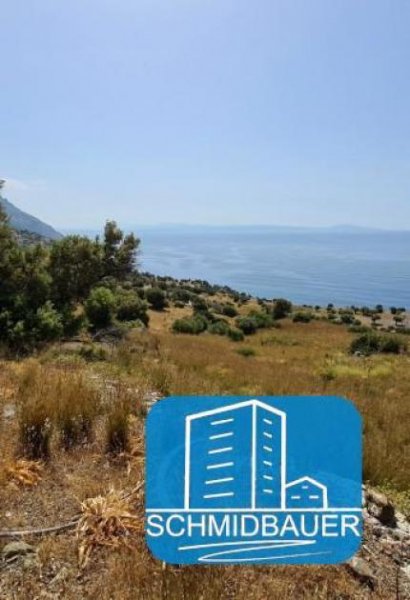 Agios Pavlos Kreta, Agios Pavlos: Grundstück mit herrlichem Meerblick im Süden zu verkaufen Grundstück kaufen